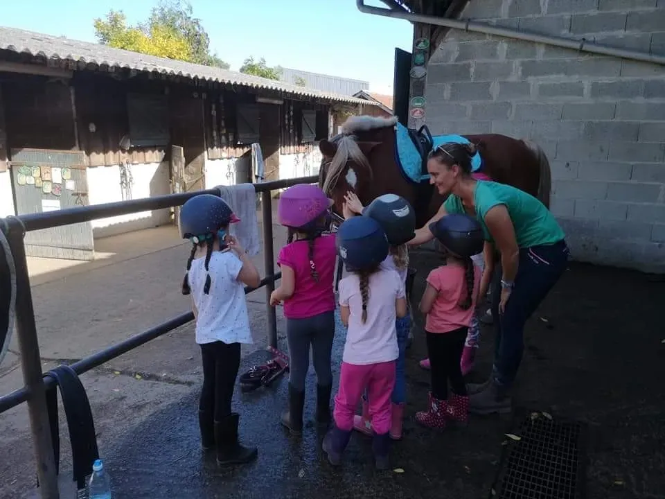 École d'équitation près de Benquet